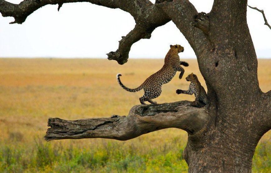 Serengeti National Park