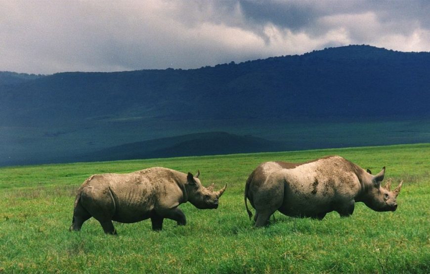9 Days 8 Nights Kenya Tanzania Safari