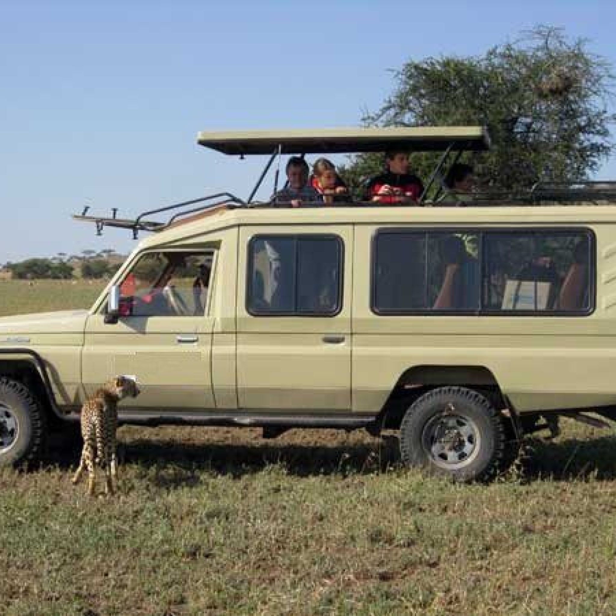 About US Africa Veterans Safaris