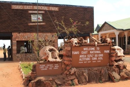 3Days 2 Nights Tsavo West and East Safari Africa Veterans Safaris
