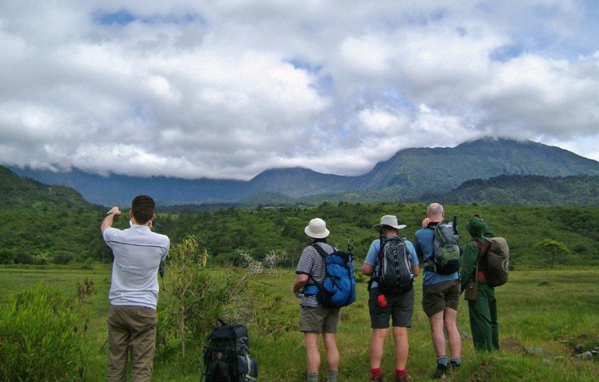 13 Days 12 Nights Kenya and Tanzania safari