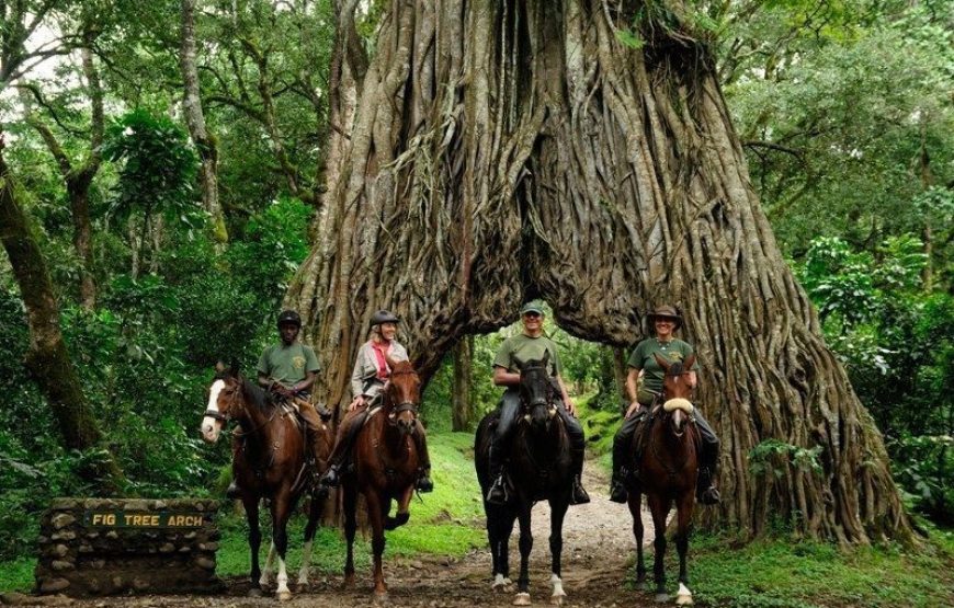 11 Days and 10 Nights Kenya Tanzania Safari