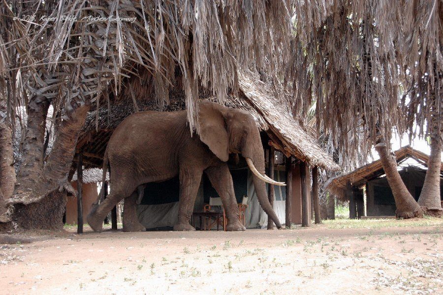 Epiya Chapeyu Camp