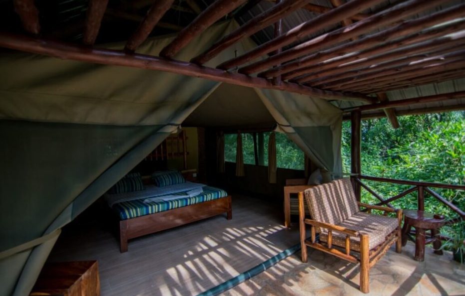 Kibale Forest Camp Nature Lodges