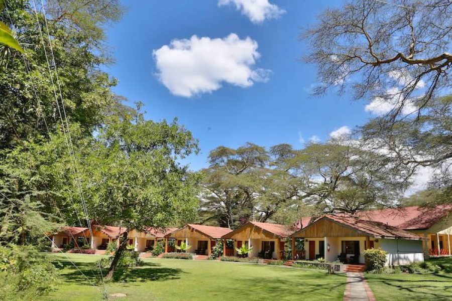 4 nights 5days Camping Safari –Maasai Mara – Naivasha. Africa Veterans Safaris