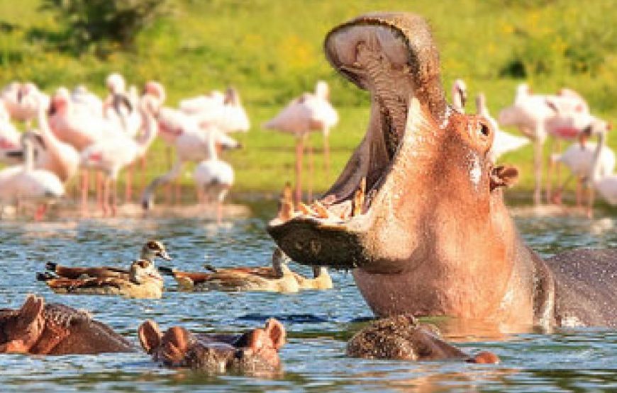 Lake Naivasha