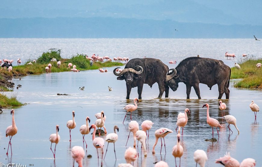 Through the Rift Valley featuring Keekorok – 4 days