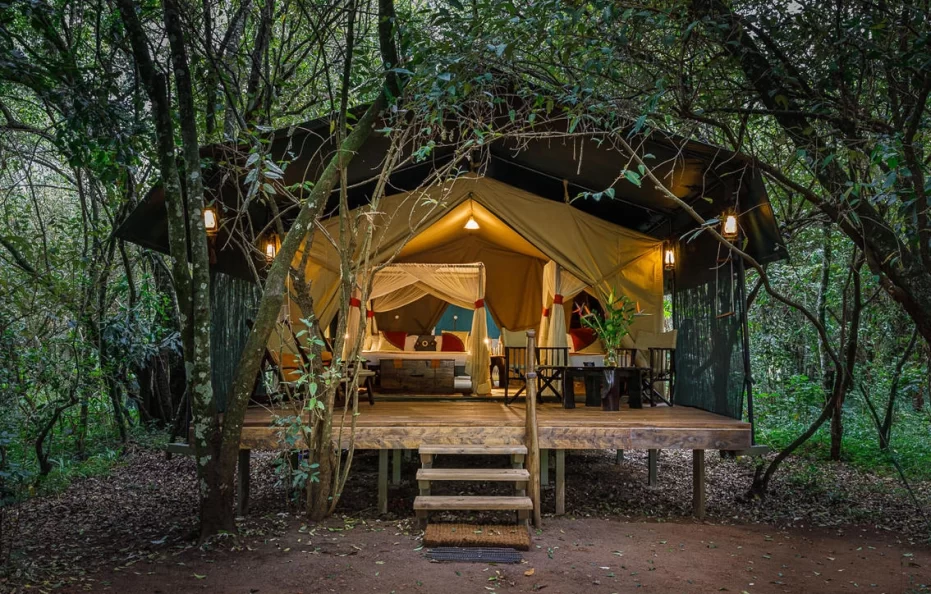 LIONS BLUFF LODGE ROOMS