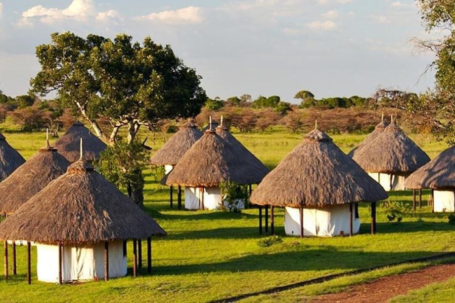 MARA WEST CAMP Africa Veterans Safaris