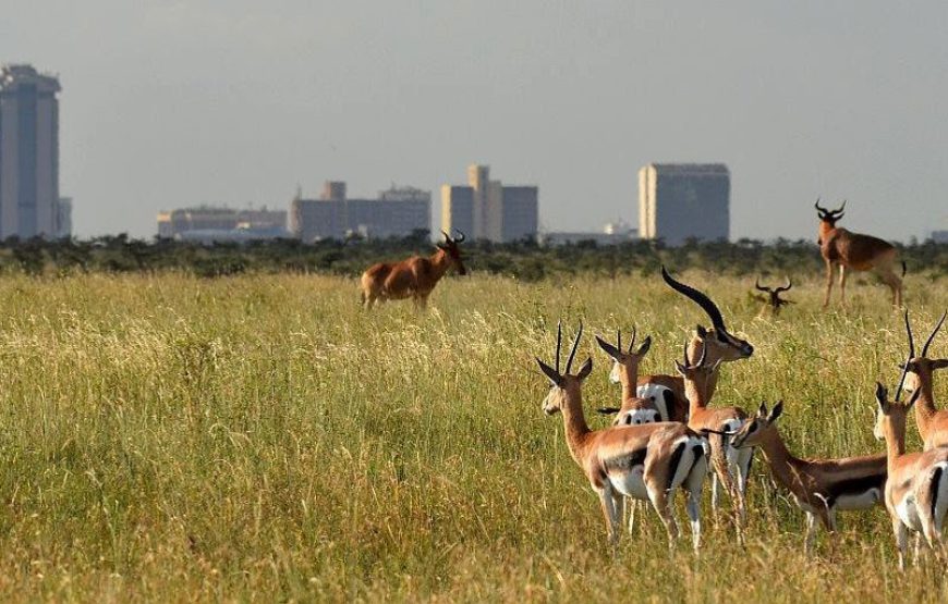 Nairobi National Park