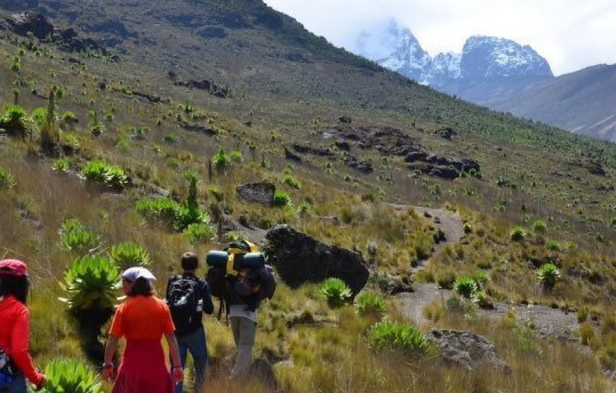 7 Days MT Kenya Climbing, Timau – Chogoria Route