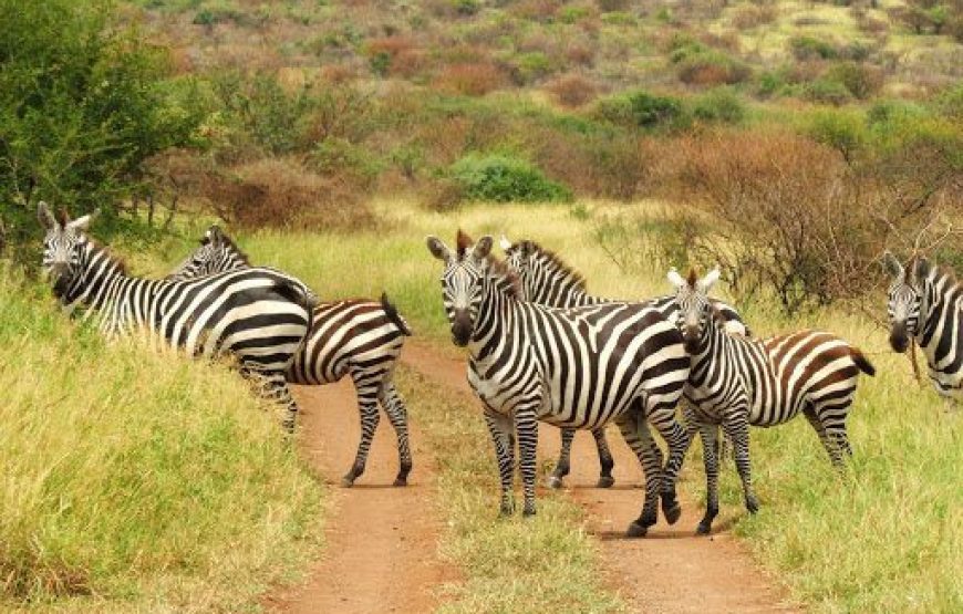 Rift  Valley Lakes Up To Arbaminch 4 Nights 5 Days