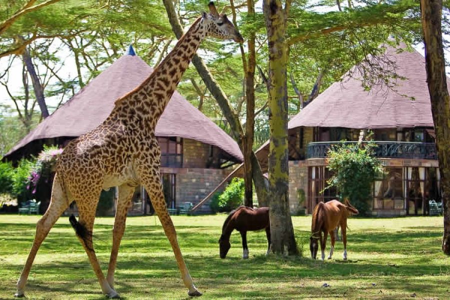 Lake Naivasha Sopa Lodge