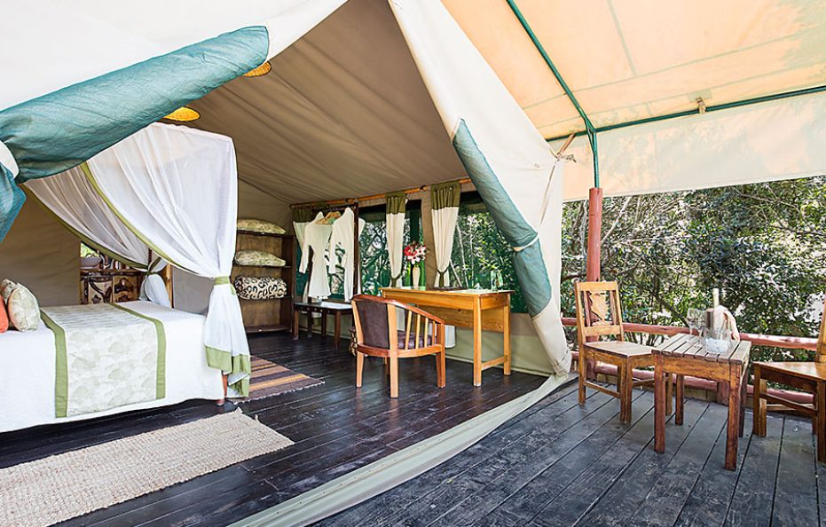 Rhino Lodge Room
