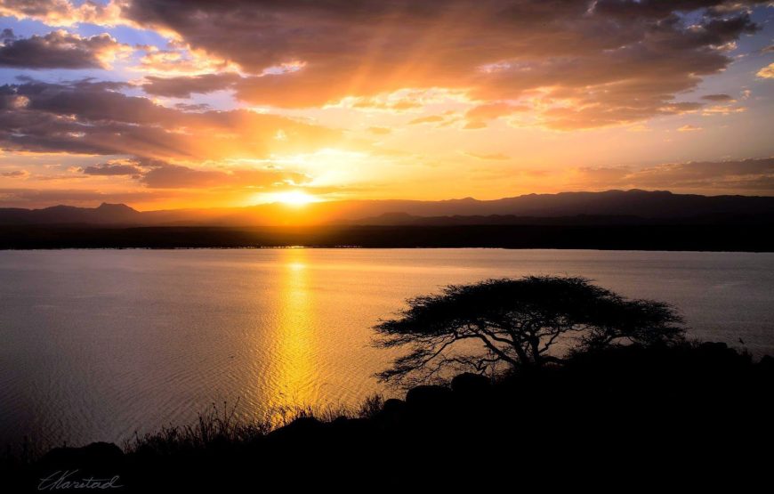 7 Days Safari