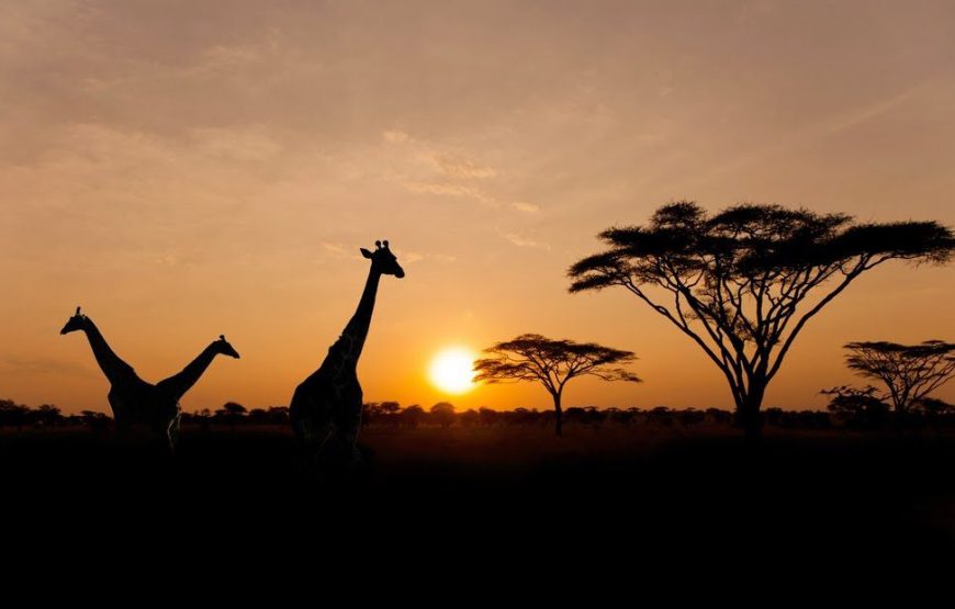 Ngorongoro Crater