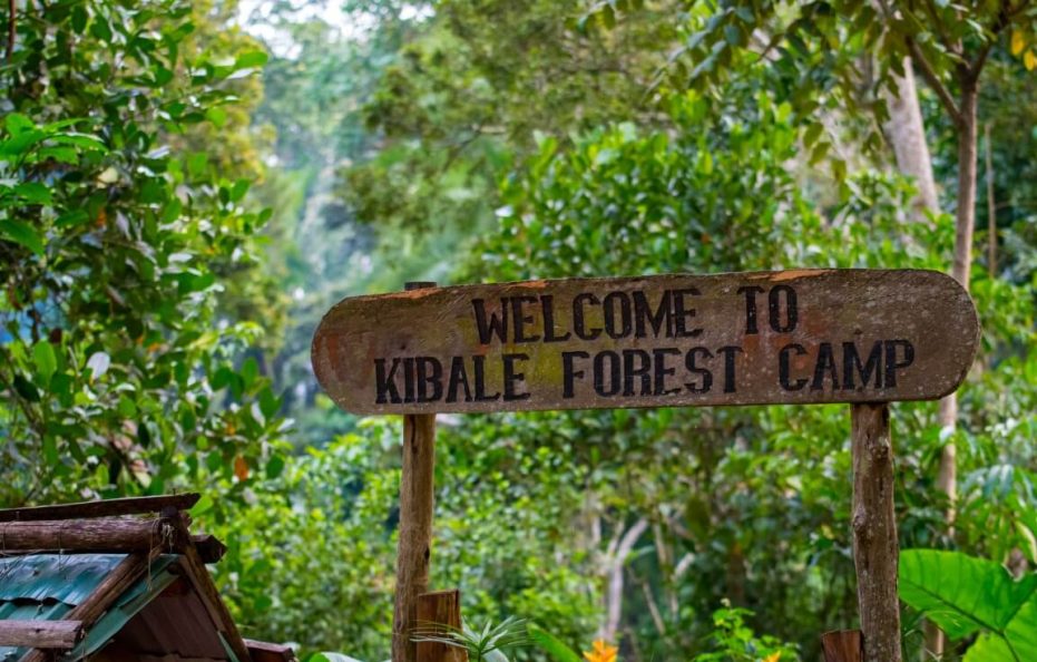 Kibale Forest Camp Nature Lodges