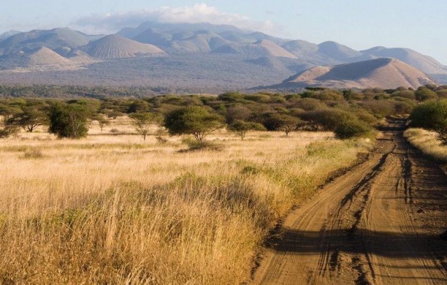 Tsavo National Park