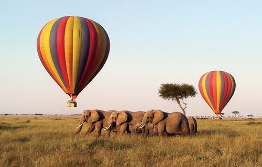 Masai Mara Balloon Safari Kenya