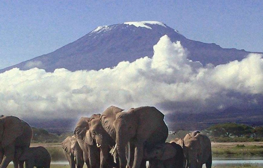 Amboseli National Park