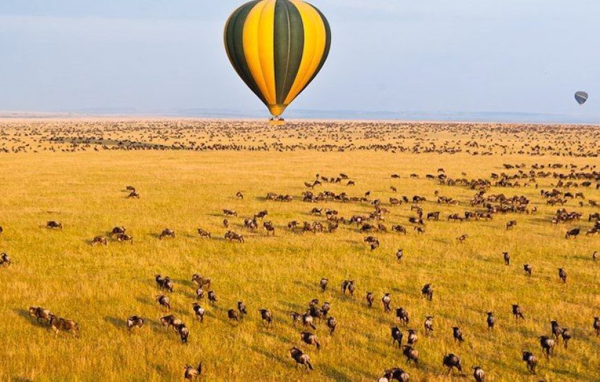 Masai Mara Balloon Safari Kenya