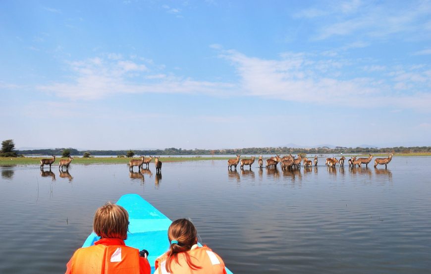Lake Naivasha