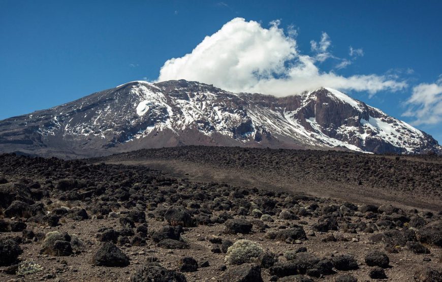 Mt Kilimanjaro