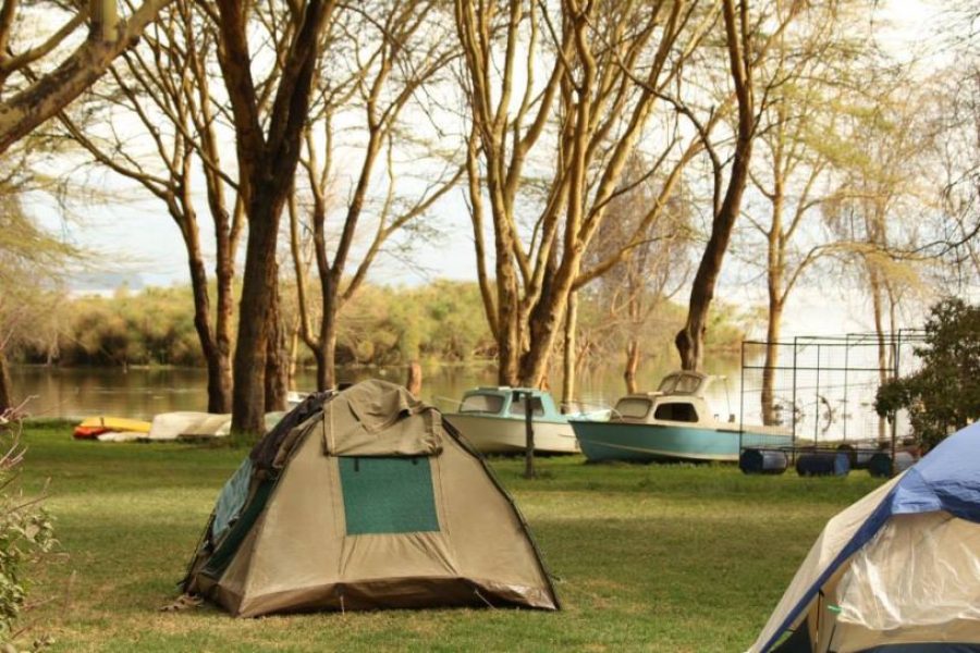 Carnelley Camps