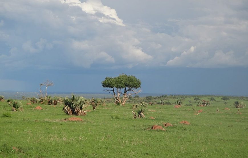 Uganda National Parks