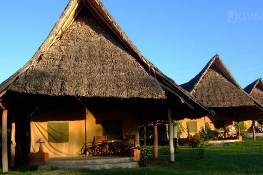 Flamingo Hill Camp