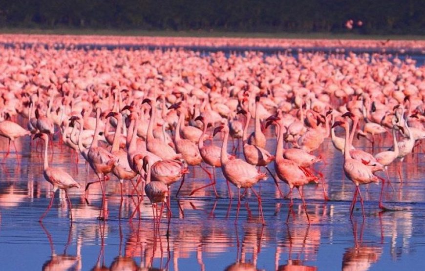 Lake Nakuru National Park