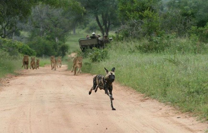 Tsavo National Park