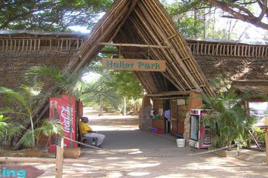 HALLER PARK Africa Veterans Safaris