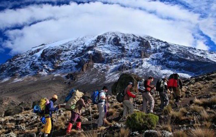 Mt Kilimanjaro Marangu Route