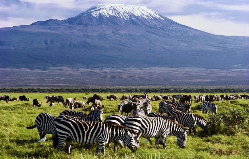 Amboseli National Park
