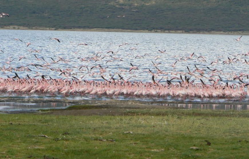 Lake Bogoria National Reserve