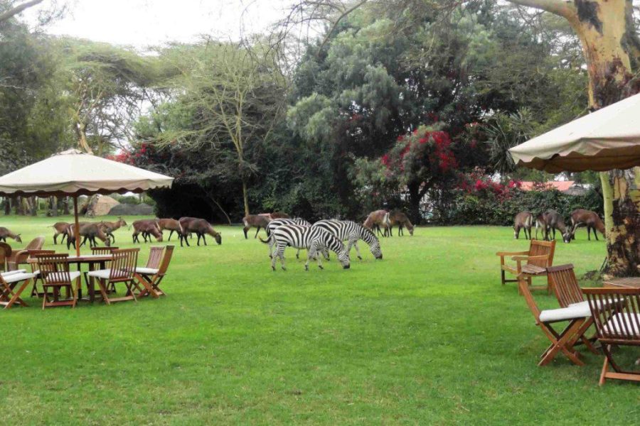 Lake Naivasha Country Club