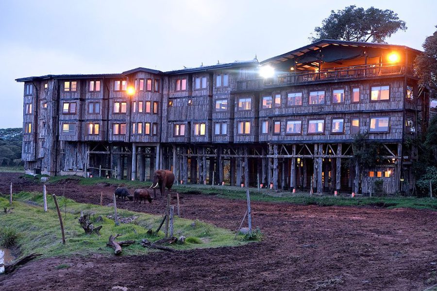 Treetops Lodge