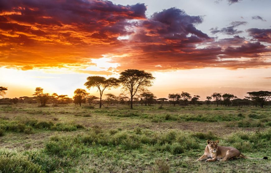 Serengeti National Park