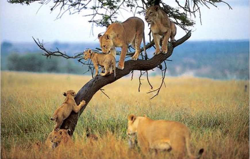 Lake Manyara National Park