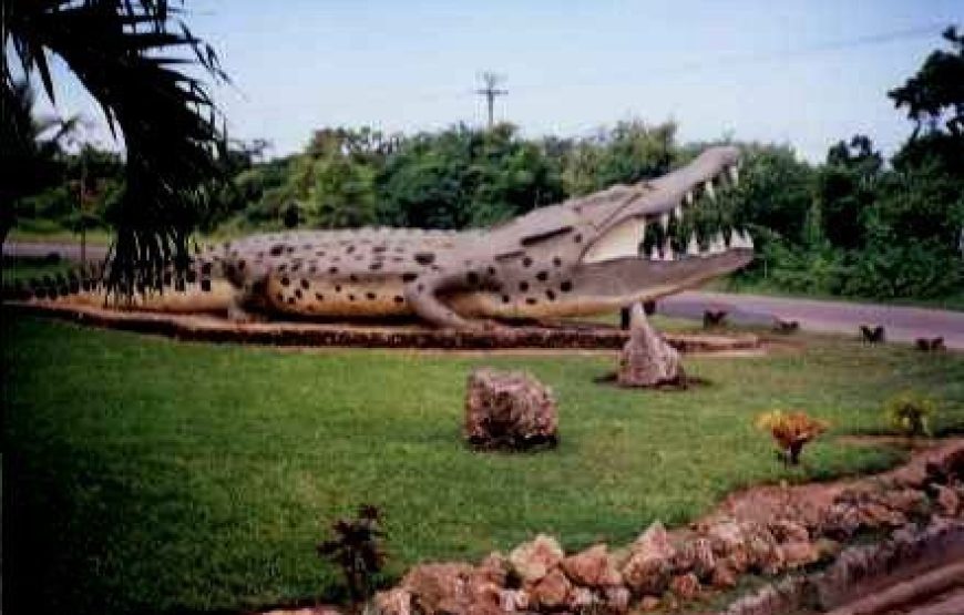 Mamba Village