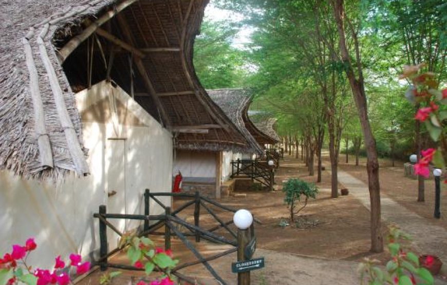 7 Days Safari