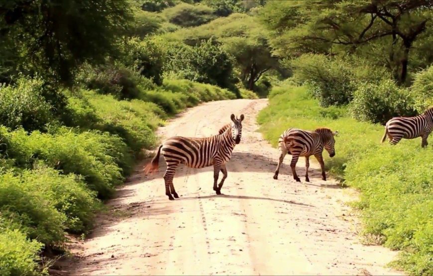Lake Manyara National Park