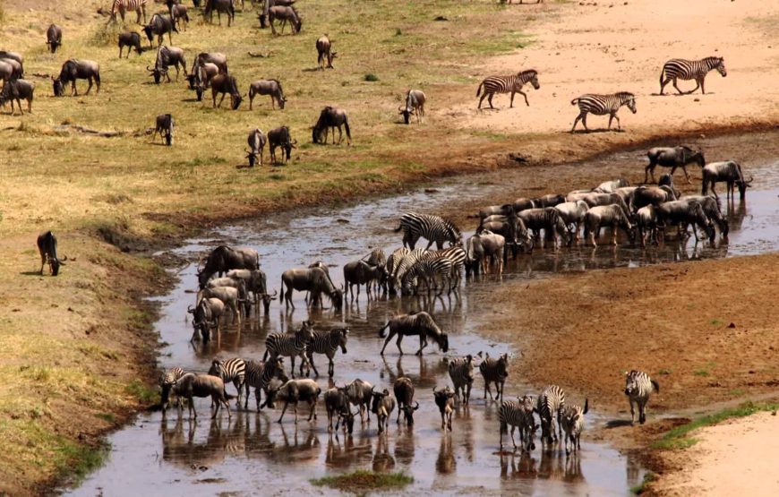 Tarangire National Park
