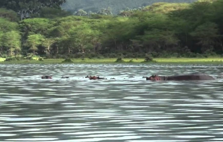 Lake Naivasha