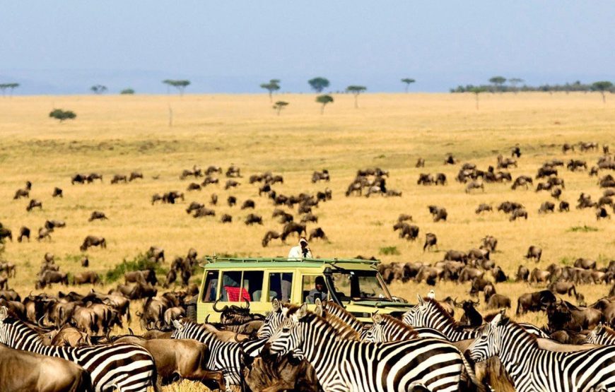 Serengeti National Park