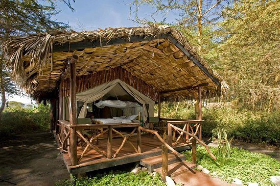 Wonderful Tents at Ikoma Safari Camp