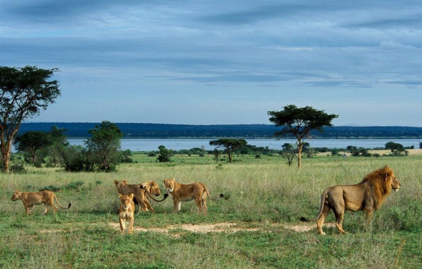 Uganda National Parks