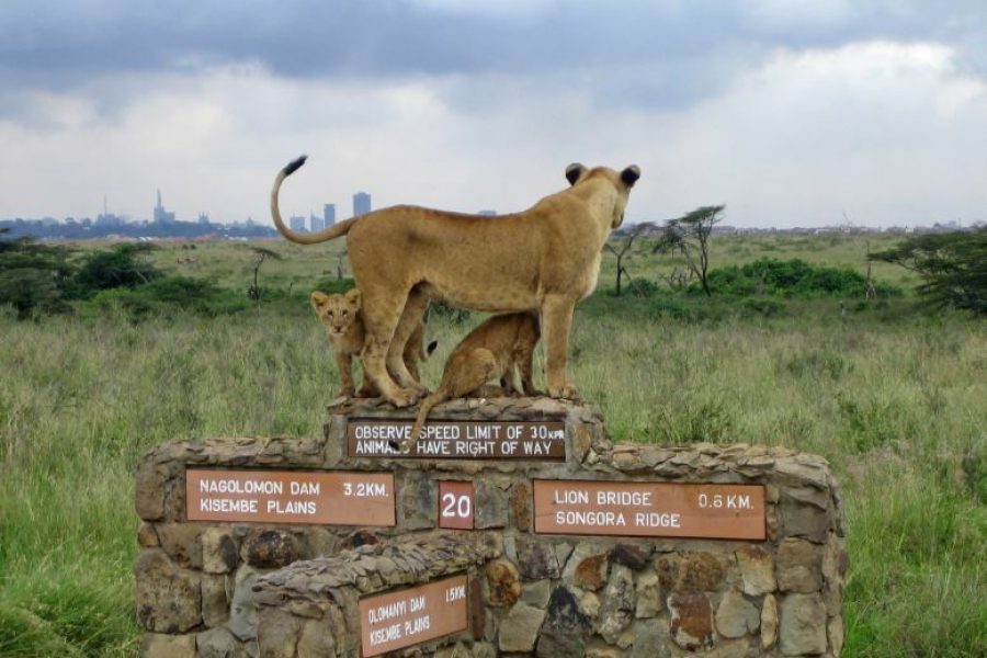 Nairobi National Park Africa Veterans Safaris