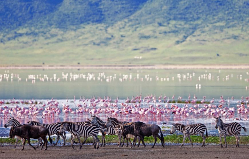 Lake Manyara National Park